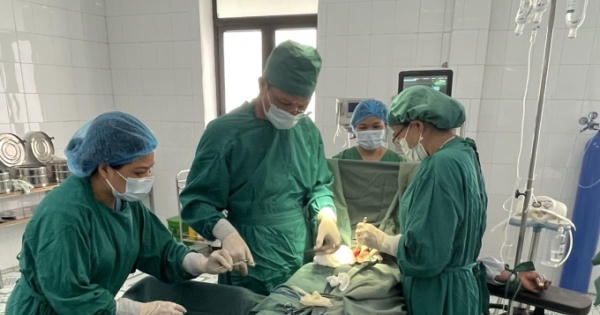 Bắc Kạn: Cấp cứu thành công bệnh nhân bị bò húc