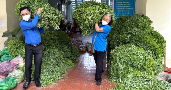 Tấm lòng thơm thảo của cụ bà 72 tuổi gửi người dân TP Hồ Chí Minh Tấm lòng thơm thảo của cụ bà 72 tuổi gửi người dân TP Hồ Chí Minh