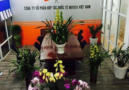 Việc làm hấp dẫn tại Công ty Cổ phần hợp tác nhân lực Quốc tế Miyata Việt Nam