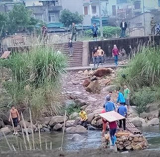 Xác minh phản ánh tình trạng buôn lậu tại Quảng Ninh