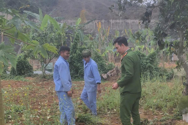 Đề xuất phạt tù đến 5 năm với người tái sử dụng ma túy