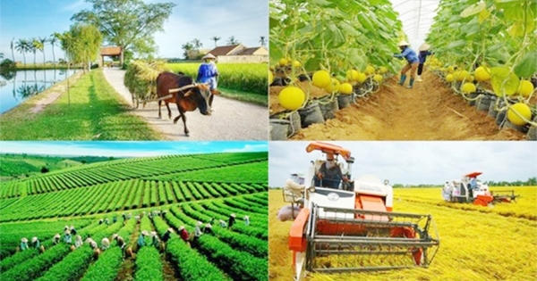 Khẩn trương ban hành văn bản hướng dẫn thực hiện các chương trình mục tiêu quốc gia