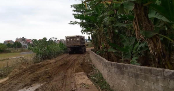 Doanh nghiệp núp danh nghĩa “giải tỏa” để tập kết cát trái phép?