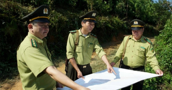 Cao Bằng: Kiểm lâm Nguyên Bình phối hợp xử lý 12 vụ vi phạm luật lâm nghiệp