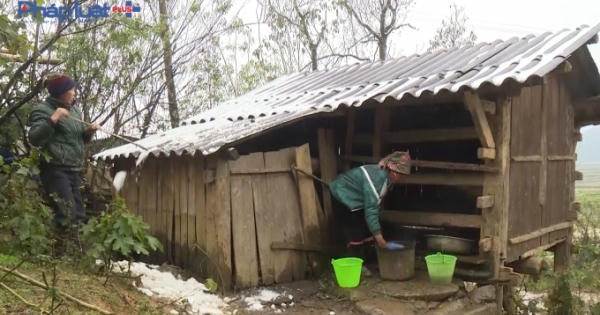 Lào Cai: Thiệt hại do mưa tuyết hơn 32 tỷ đồng
