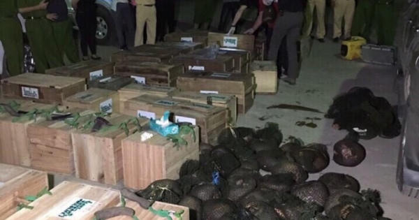 Hòa Bình: Bắn thủng lốp xe ô tô, thu giữ số lượng “khủng” động vật hoang dã