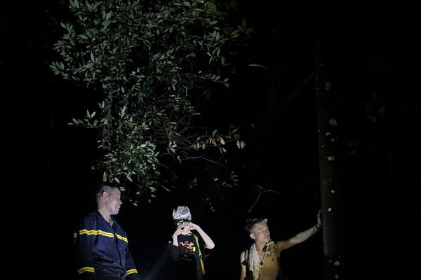 Kịp thời giải cứu nhóm người đi lạc trong núi Hàm Lợn giữa đêm khuya