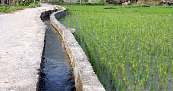 Sửa đổi nguyên tắc cấp phép hoạt động bảo vệ công trình thủy lợi Sửa đổi nguyên tắc cấp phép hoạt động bảo vệ công trình thủy lợi