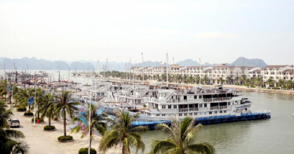 Du khách Nhật ngã tử vong tại Tuần Châu, Chủ tịch tỉnh Quảng Ninh chỉ đạo điều tra, làm rõ