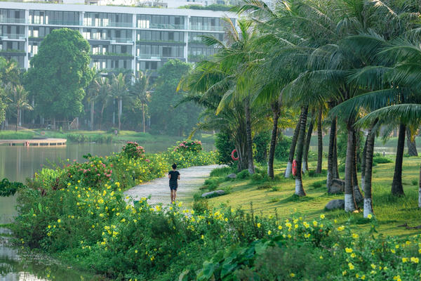 Covid-19:  Những người bỏ nhà Ba Đình, Hoàn Kiếm về sống giữa thiên nhiên