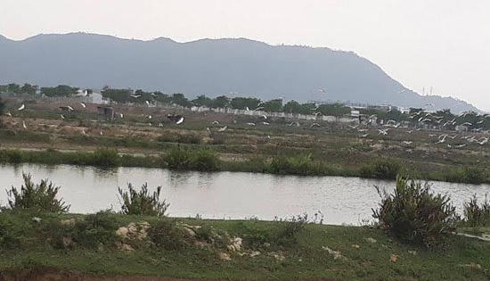 Cận cảnh “siêu dự án” Golden Hills nợ 244 tỷ đồng tiền sử dụng đất