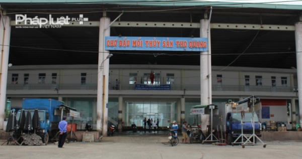 Đà Nẵng triển khai Đề án thí điểm khai thác chế biến và xuất khẩu cá nóc