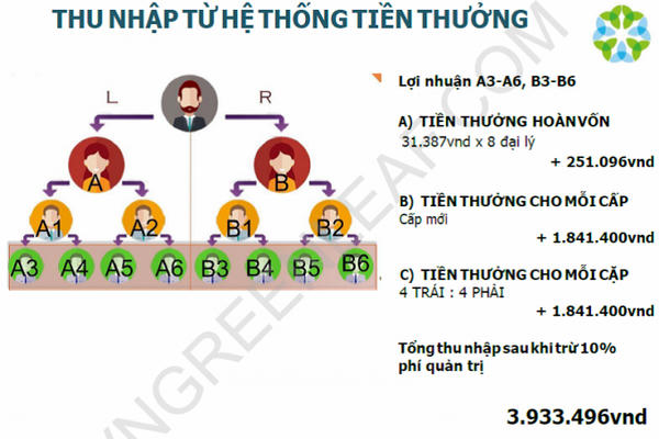 Bộ Công thương khẳng định: Hệ thống kinh doanh Greenleafgroup.cn chưa được cấp phép tại Việt Nam