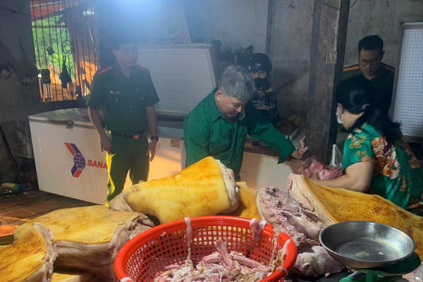 Kịp thời phát hiện, tiêu huỷ gần 800kg thịt heo ôi thiu, nhiễm dịch tả lợn châu Phi chuẩn bị tiêu thụ