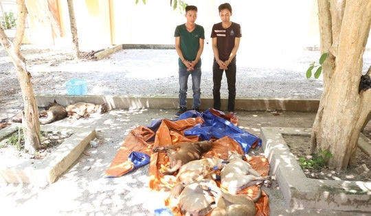 Thanh Hóa: “Cẩu tặc” trộm chó bất thành, đâm tử vong chủ nhà