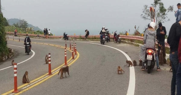 Đừng vì chụp ảnh mà hại thân, hại xã hội