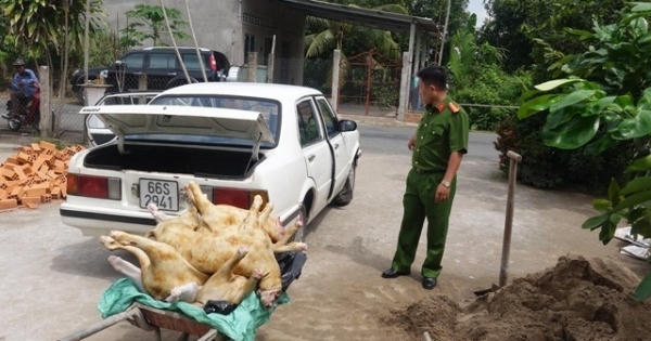 Phát hiện thịt dê đổi màu, hôi thối sắp tuồn vào nhà hàng