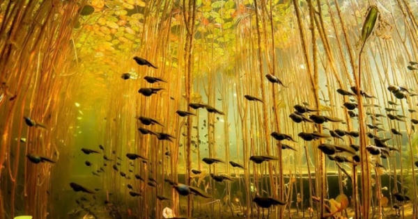 Ngỡ ngàng trước cảnh sắc tuyệt đẹp của thiên nhiên