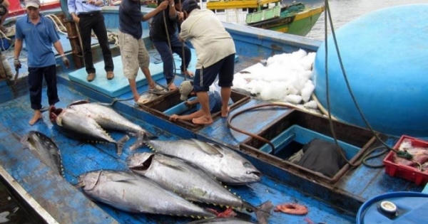 Tin kinh tế 6AM: Ông Trump ra tay, vàng tăng ngay gần 1 triệu đồng/lượng; Hà Nội mở bán hồ sơ đấu giá lô gỗ sưa 'trăm tỷ'