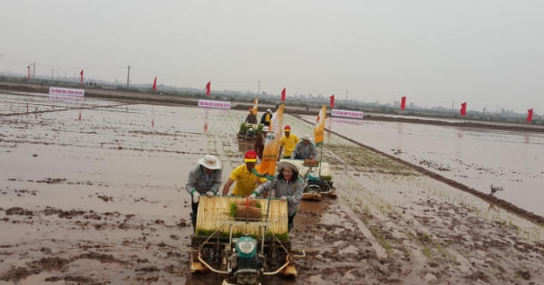 Bí thư Tỉnh ủy Ninh Bình xuống đồng cùng với nông dân trong ngày đầu năm