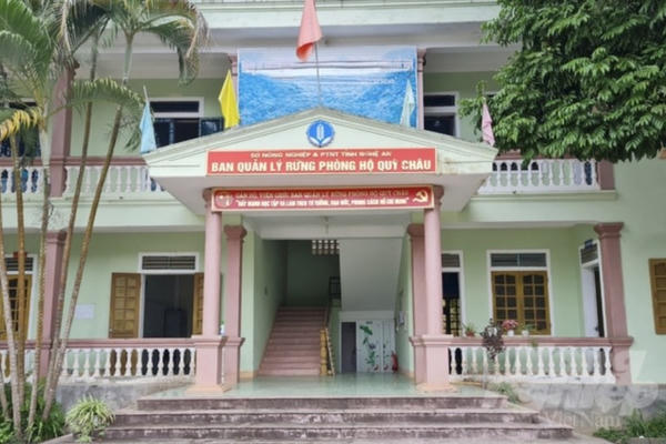 Nghệ An: Khởi tố 4 cán bộ BQL rừng phòng hộ vì "thu phí" hái măng của dân