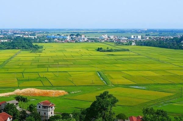 Điều động 34 công chức về địa phương hỗ trợ quản lý đất đai