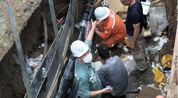 Điện lực Hà Nội xử phạt hành vi vi phạm hành lang an toàn lưới điện