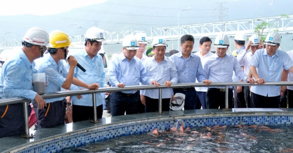 Thủ tướng Nguyễn Xuân Phúc: Formosa cần rút kinh nghiệm nghiêm túc, tuyệt đối không bao giờ vi phạm lần thứ hai