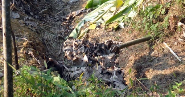 Tuyên Quang: Truy quét, xử lý hoạt động khai thác khoáng sản sau phản ánh của Pháp luật Plus Tuyên Quang: Truy quét, xử lý hoạt động khai thác khoáng sản sau phản ánh của Pháp luật Plus