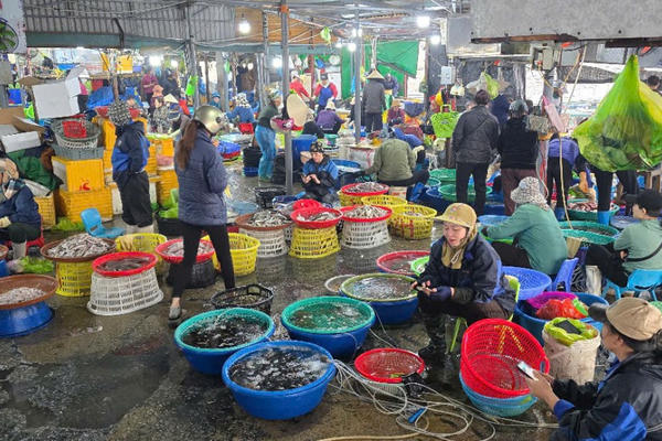 Quảng Ninh: Cần giải quyết hài hoà lợi ích của tiểu thương, trong việc di dời Khu cảng cá Bến Do