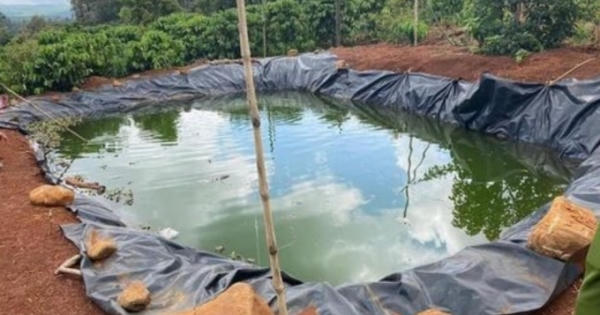 Đắk Nông: Nhảy xuống ao cứu cháu bị đuối nước, 2 bà cháu tử vong thương tâm