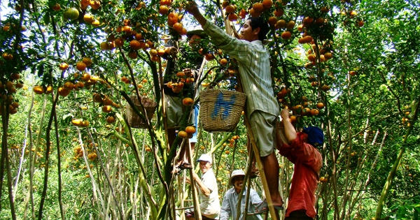 Phải trả lời được câu hỏi Thủ tướng trăn trở