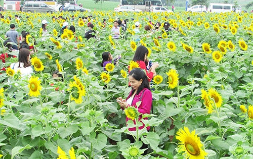 Năm 2022, lượng khách du lịch đến Nghệ An bằng 356% năm 2021
