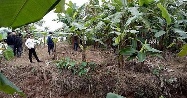 Danh tính 3 người đàn ông tử vong trên sông Hóa