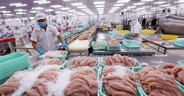 Triển khai kế hoạch kiểm tra an toàn thực phẩm dịp Tết Nguyên đán