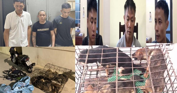 Thanh Hoá: Triệt xóa đường dây trộm cắp chó liên huyện