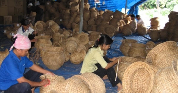 Đảng, Nhà nước luôn quan tâm đến hợp tác xã