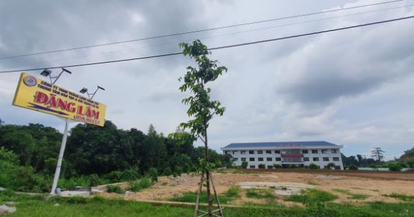 Bà Rịa – Vũng Tàu: Công ty Thăng Long bị xử phạt 200 triệu do vi phạm trong lĩnh vực đất đai