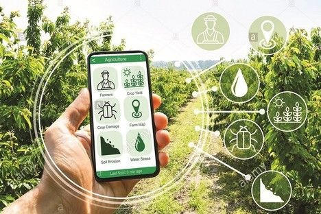 Cần sớm ban hành văn bản hướng dẫn quản lý mã số vùng trồng