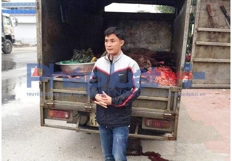 Phát hiện một tấn da và nội tạng trâu, bò bốc mùi hôi thối Phát hiện một tấn da và nội tạng trâu, bò bốc mùi hôi thối