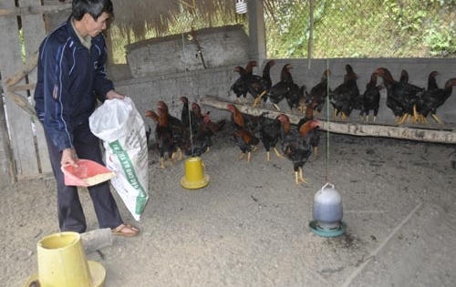 “Đòn bẩy” giúp đồng bào dân tộc thiểu số thoát nghèo