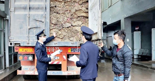 Kiểm tra thủ tục xuất nhập cảnh tại Cửa khẩu Quốc tế Cầu Treo chỉ mất 15 giây