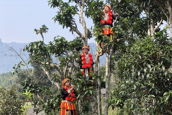 Xứ Tuyên, vùng đất giàu bản sắc dân tộc