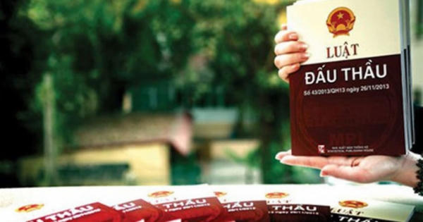 Nhà thầu phải cam kết gì trong đơn dự thầu?