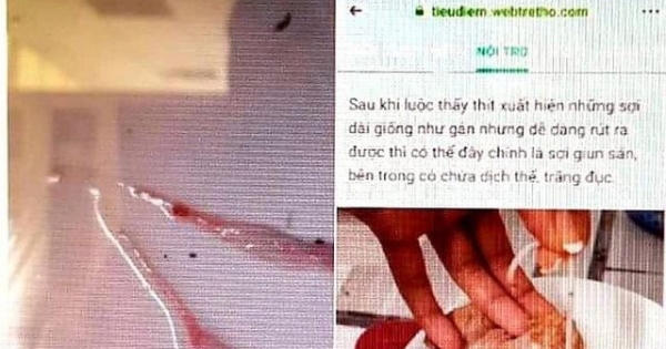 Bị phạt 10 triệu đồng vì đăng Facebook sai sự thật về việc "heo nhiễm sán"