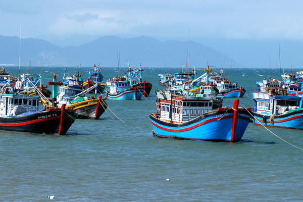 Kỷ luật nghiêm các lực lượng chức năng trực thuộc bao che, tiếp tay cho hành vi khai thác IUU Kỷ luật nghiêm các lực lượng chức năng trực thuộc bao che, tiếp tay cho hành vi khai thác IUU
