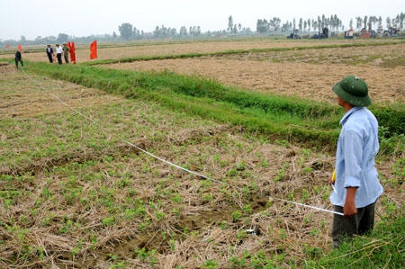 Mê Linh, Hà Nội: Dân bức xúc vì dồn điền đổi thửa thiếu minh bạch?