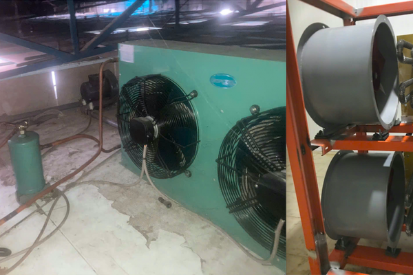 Không có trong điều khoản hợp đồng, HTX Thanh Long Tầm Vu vẫn gây khó cho đơn vị thuê nhà xưởng