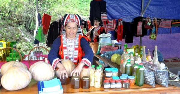 Trên đất cằn… những bông hoa vẫn nở
