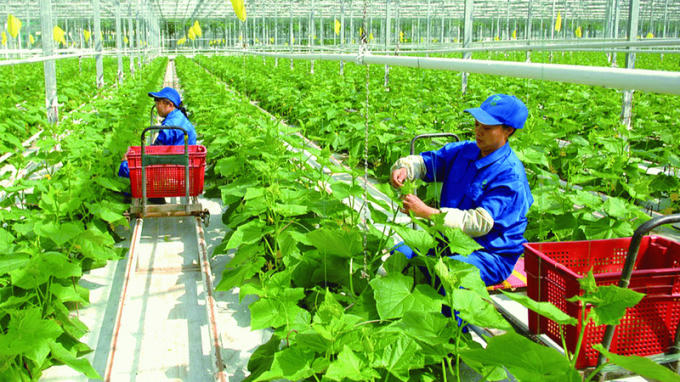 Năm 2050: Nông thôn không còn hộ nghèo, trở thành “nơi đáng sống” Năm 2050: Nông thôn không còn hộ nghèo, trở thành “nơi đáng sống”